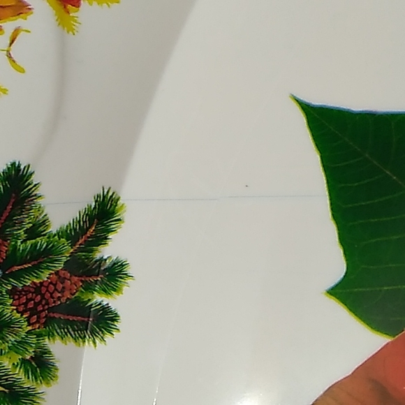 2 Christmas platters 🎄 - Picture 3 of 10